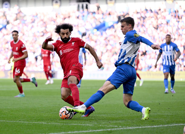 了多样化的 了多样化的