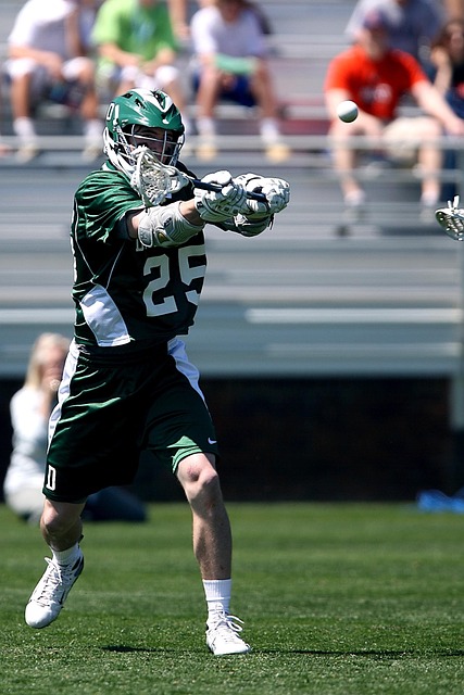 应是一个多 应是一个多